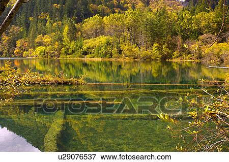 China, Sichuan Province, Nine Village Valley, Arrow Bamboo Lake View Large Photo Image Stock Photo - China, Sichuan Province, Nine Village Valley, Arrow Bamboo Lake. Fotosearch
