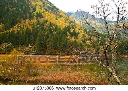 China, Sichuan Province, Nine Village Valley, Grass Lake View Large Photo Image Stock Photograph - China, Sichuan Province, Nine Village Valley, Grass Lake. Fotosearch
