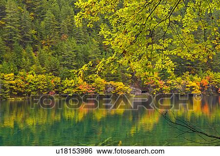 China, Sichuan Province, Nine Village Valley, Mirror Lake View Large Photo Image Stock Photograph - China, Sichuan Province, Nine Village Valley, Mirror Lake. Fotosearch