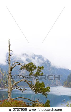China, Sichuan Province, Nine Village Valley, Long Lake View Large Photo Image Stock Photography - China, Sichuan Province, Nine Village Valley, Long Lake. Fotosearch