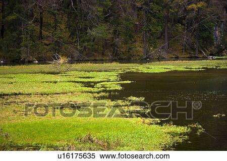 China, Sichuan Province, Nine Village Valley, Grass Lake View Large Photo Image Stock Photography - China, Sichuan Province, Nine Village Valley, Grass Lake. Fotosearch