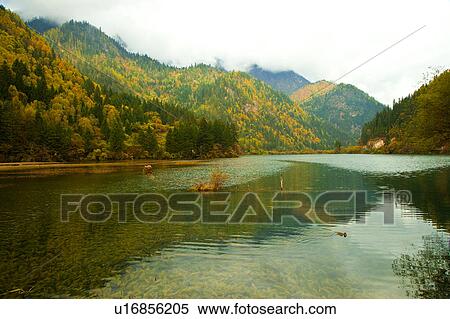 China, Sichuan Province, Nine Village Valley, Grass Lake View Large Photo Image Stock Photography - China, Sichuan Province, Nine Village Valley, Grass Lake. Fotosearch