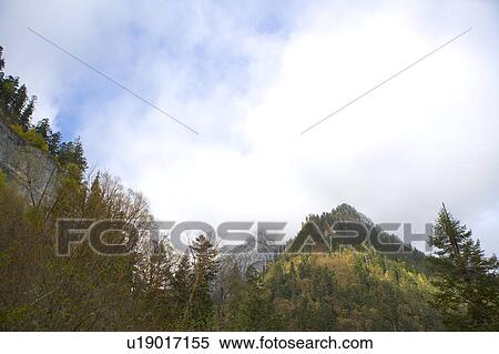 China, Sichuan Province, Nine Village Valley, Primeval Forest View Large Photo Image Stock Photography - China, Sichuan Province, Nine Village Valley, Primeval Forest. Fotosearch
