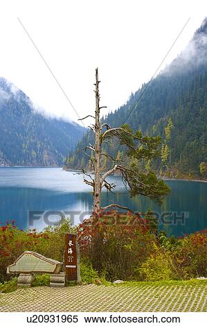 China, Sichuan Province, Nine Village Valley, Long Lake View Large Photo Image Stock Photography - China, Sichuan Province, Nine Village Valley, Long Lake. Fotosearch