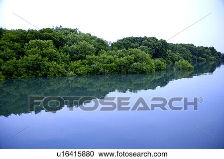 Taiwan, Cigu Lagoon View Large Photo Image Stock Image - Taiwan, Cigu Lagoon. Fotosearch