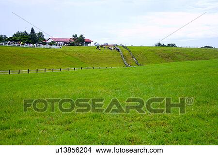 Picture - Taiwan, Taitung, Chulu Pasture. Fotosearch