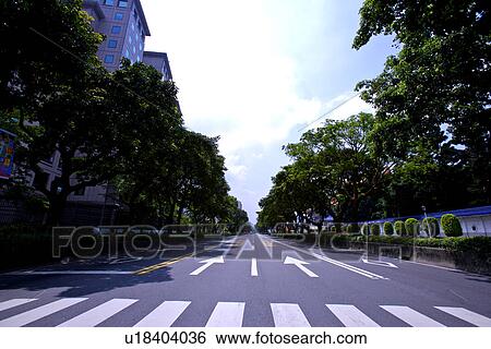 Asia, Taiwan, Taipei, treelined street View Large Photo Image Stock Photograph - Asia, Taiwan, Taipei, treelined street. Fotosearch