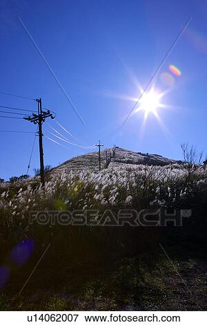 Stock Photo - Asia, Taiwan, Mt. Yang-ming, Cingtiangang. Fotosearch