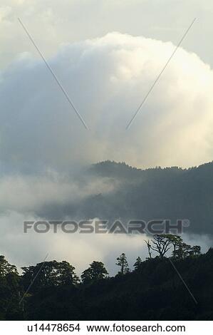 Picture - Mountain with clouds. Fotosearch