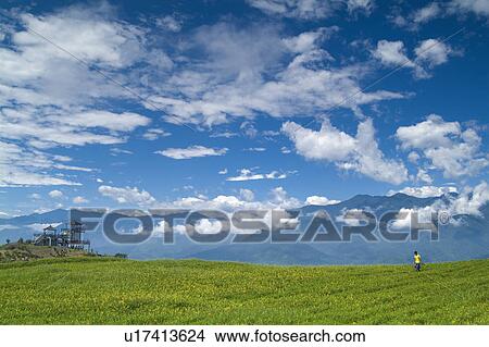 Taiwan, Golden Needle Mountain View Large Photo Image Picture - Taiwan, Golden Needle Mountain. Fotosearch
