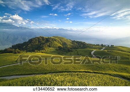 Stock Image - Taiwan, Golden Needle Mountain. Fotosearch