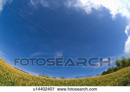 Taiwan, Golden Needle Mountain, Fish-Eye Lens View Large Photo Image Stock Photo - Taiwan, Golden Needle Mountain, Fish-Eye Lens. Fotosearch