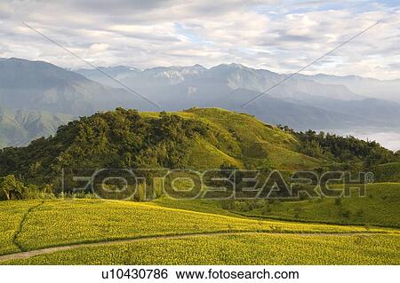 Taiwan, Golden Needle Mountain View Large Photo Image Stock Photograph - Taiwan, Golden Needle Mountain. Fotosearch