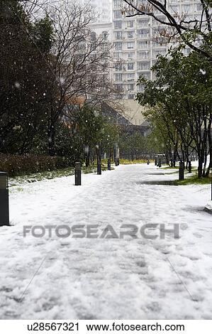 China, Shanghai, snow View Large Photo Image Stock Image - China, Shanghai, snow. Fotosearch