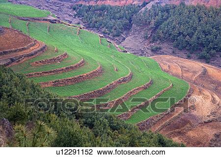 China, Yunnan Province, Dongchuan, Red Land, Terraced field View Large Photo Image Stock Image - China, Yunnan Province, Dongchuan, Red Land, Terraced field. Fotosearch