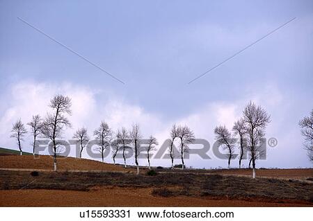 China, Yunnan Province, Dongchuan, Red Land, Generic Location View Large Photo Image Stock Image - China, Yunnan Province, Dongchuan, Red Land, Generic Location. Fotosearch