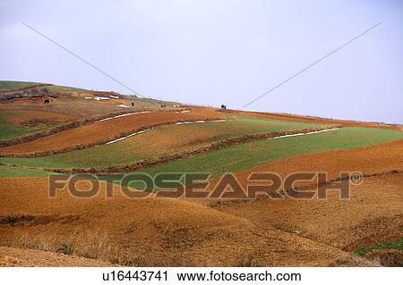 China, Yunnan Province, Dongchuan, Red Land View Large Photo Image Stock Image - China, Yunnan Province, Dongchuan, Red Land. Fotosearch