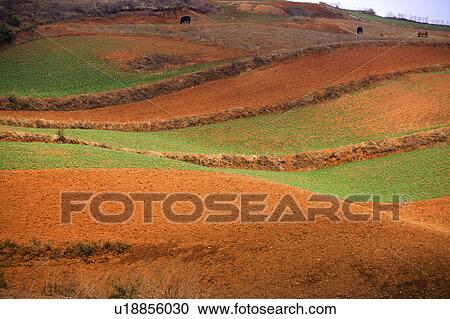 Stock Image - China, Yunnan Province, Dongchuan, Red Land. Fotosearch