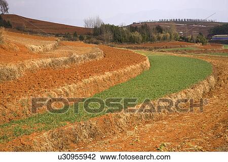 Stock Image - China, Yunnan Province, Dongchuan, Red Land, Terraced field. Fotosearch