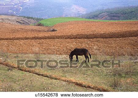 China, Yunnan Province, Dongchuan, Red Land View Large Photo Image Stock Photo - China, Yunnan Province, Dongchuan, Red Land. Fotosearch