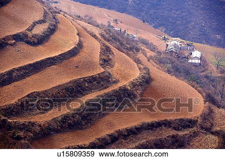 Stock Photo - China, Yunnan Province, Dongchuan, Red Land, Terraced field. Fotosearch