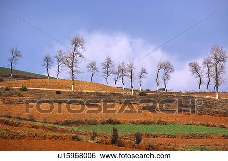 Stock Photograph - China, Yunnan Province, Dongchuan, Red Land. Fotosearch