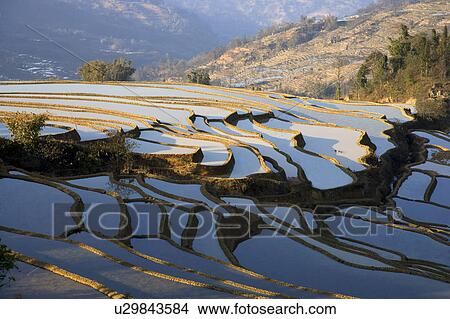 China, Yunnan Province, Yuanyang, Beida Terraced Field View Large Photo Image Picture - China, Yunnan Province, Yuanyang, Beida Terraced Field. Fotosearch