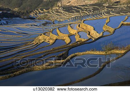 China, Yunnan Province, Yuanyang, Beida Terraced Field at night View Large Photo Image Stock Image - China, Yunnan Province, Yuanyang, Beida Terraced Field at night. Fotosearch