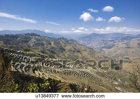 Stock Photo - China, Yunnan Province, Yuanyang, rice terraces in the mountain. Fotosearch