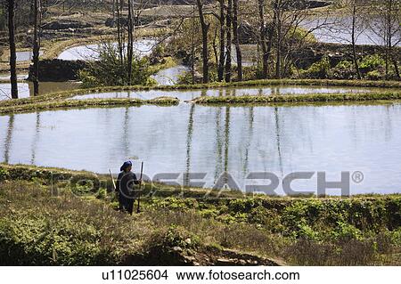 China, Yunnan Province, Yuanyang, Rural Scene View Large Photo Image Picture - China, Yunnan Province, Yuanyang, Rural Scene. Fotosearch