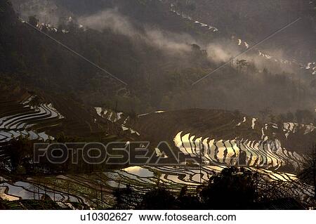 China, Yunnan Province, Yuanyang, terraced paddy fields, elevated view View Large Photo Image Stock Photo - China, Yunnan Province, Yuanyang, terraced paddy fields, elevated view. Fotosearch