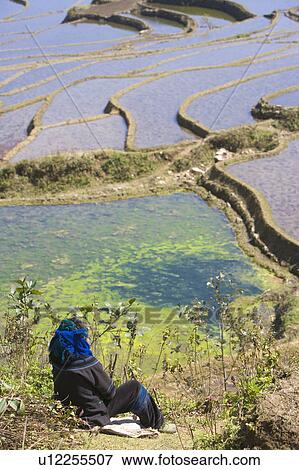 China, Yunnan Province, Yuanyang, Qingkou, Terraced field View Large Photo Image Stock Photo - China, Yunnan Province, Yuanyang, Qingkou, Terraced field. Fotosearch