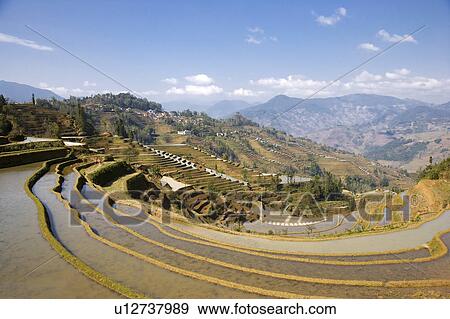 China, Yunnan Province, Yuanyang, terraced fields on mountain View Large Photo Image Stock Photo - China, Yunnan Province, Yuanyang, terraced fields on mountain. Fotosearch