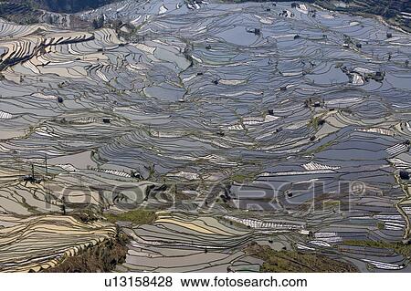 China, Yunnan Province, Yuanyang, terraced paddy fields View Large Photo Image Stock Photo - China, Yunnan Province, Yuanyang, terraced paddy fields. Fotosearch