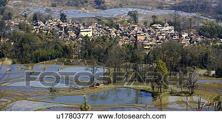China, Yunnan Province, Yuanyang, terraced paddy fields View Large Photo Image Stock Photo - China, Yunnan Province, Yuanyang, terraced paddy fields. Fotosearch