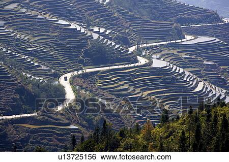 China, Yunnan Province, Yuanyang, terraced paddy fields View Large Photo Image Stock Photograph - China, Yunnan Province, Yuanyang, terraced paddy fields. Fotosearch