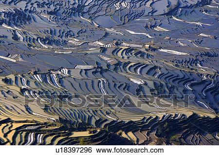 China, Yunnan Province, Yuanyang, terraced paddy fields View Large Photo Image Stock Photograph - China, Yunnan Province, Yuanyang, terraced paddy fields. Fotosearch