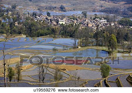 China, Yunnan Province, Yuanyang, terraced paddy fields View Large Photo Image Stock Photograph - China, Yunnan Province, Yuanyang, terraced paddy fields. Fotosearch