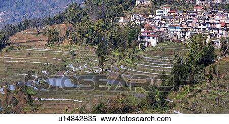 China, Yunnan Province, Yuanyang, Terraced Field View Large Photo Image Stock Photography - China, Yunnan Province, Yuanyang, Terraced Field. Fotosearch