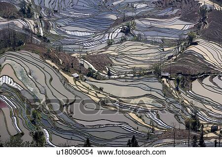 China, Yunnan Province, Yuanyang, Tiger Mouth, Terraced field View Large Photo Image Picture - China, Yunnan Province, Yuanyang, Tiger Mouth, Terraced field. Fotosearch