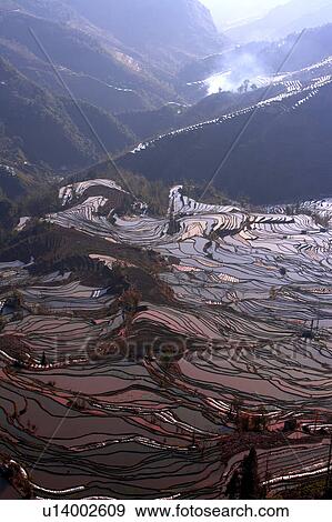 Stock Photo - China, Yunnan Province, Yuanyang, Tiger Mouth, terraced paddy fields. Fotosearch