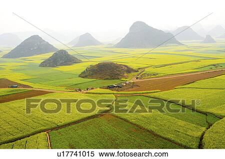 Stock Photography - China, Yunnan Province, Golden Rooster Hills. Fotosearch