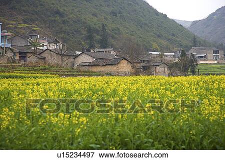China, Yunnan Province, Luoping County, village View Large Photo Image Stock Photo - China, Yunnan Province, Luoping County, village. Fotosearch