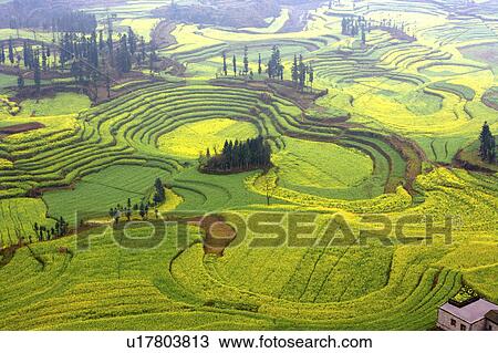 Stock Image - China, Yunnan Province, Niujie 'Screw Fields'. Fotosearch