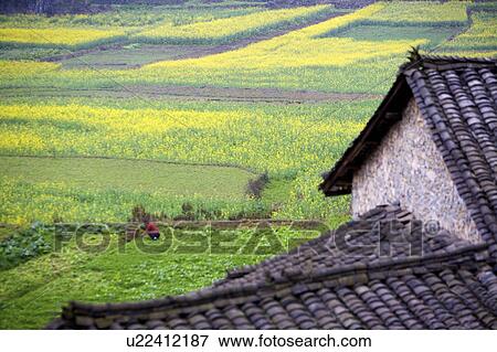 China, Yunnan Province, Rural Scene View Large Photo Image Stock Photo - China, Yunnan Province, Rural Scene. Fotosearch
