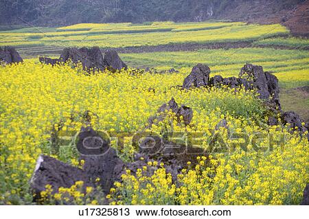 China, Yunnan Province, Scenery View Large Photo Image Stock Image - China, Yunnan Province, Scenery. Fotosearch
