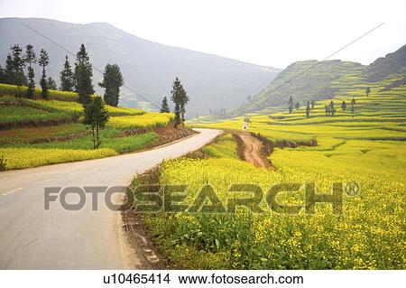 hina, Yunnan Province, Luoping County, View Large Photo Image Picture - hina, Yunnan Province, Luoping County,. Fotosearch