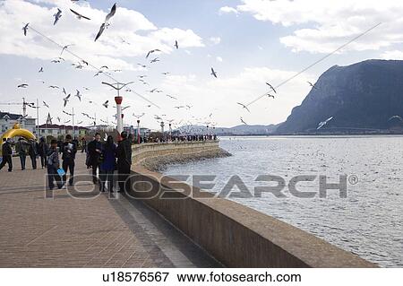 Stock Photo - China, Yunnan Province, Dianchi Lake. Fotosearch