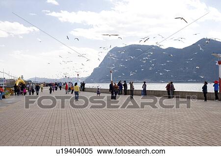 China, Yunnan Province, Kunming, Dianchi Lake View Large Photo Image Stock Photography - China, Yunnan Province, Kunming, Dianchi Lake. Fotosearch