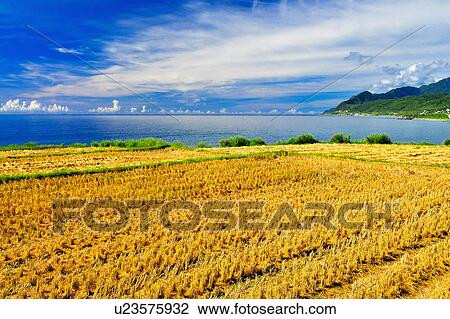 Stock Image - "Beautiful scenery of Taiwan Coastline, Taitung, ". Fotosearch